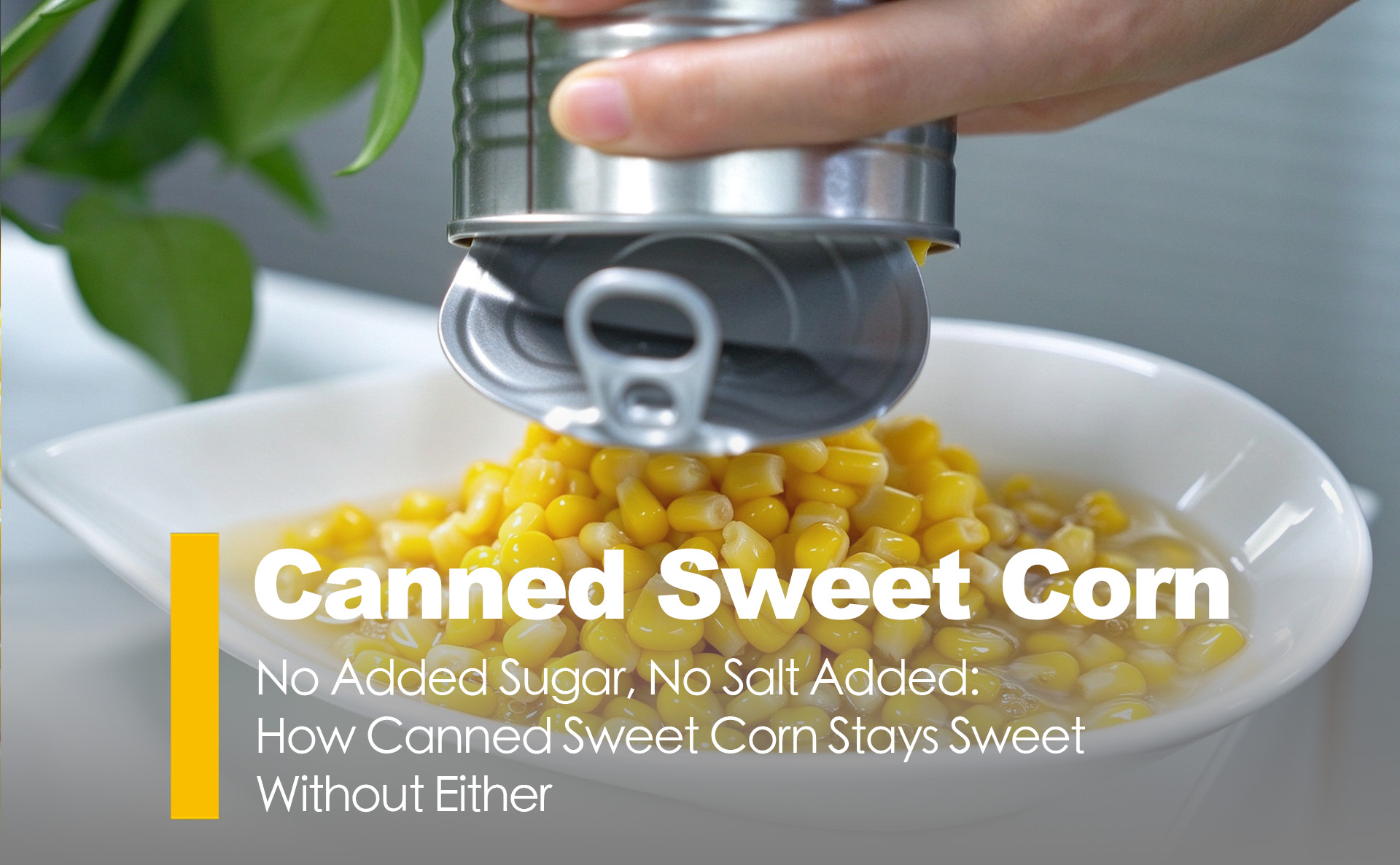 No Added Sugar, No Salt Added: How Canned Sweet Corn Stays Sweet Without Either