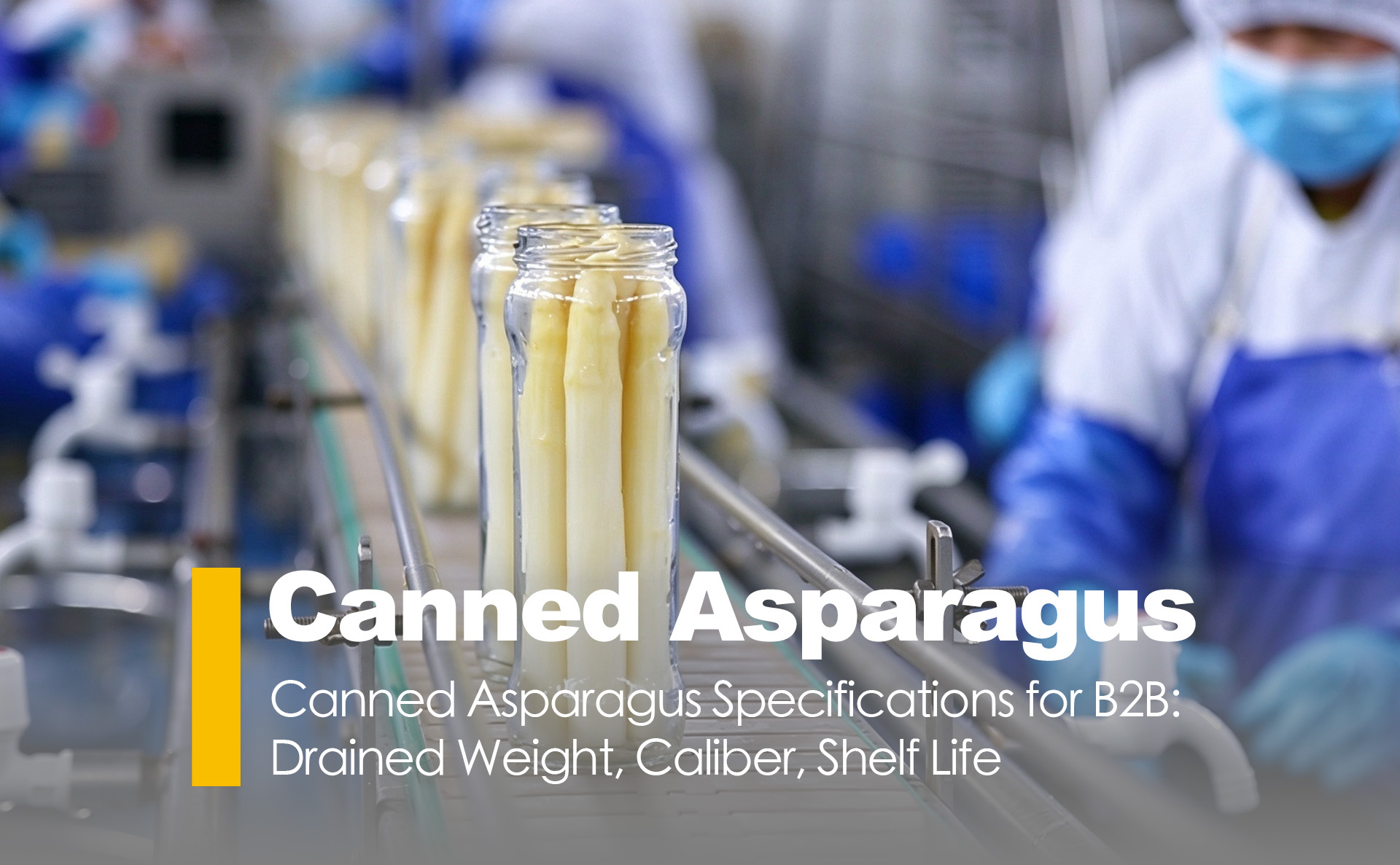 Canned Asparagus Specifications for B2B: Drained Weight, Caliber, Shelf Life