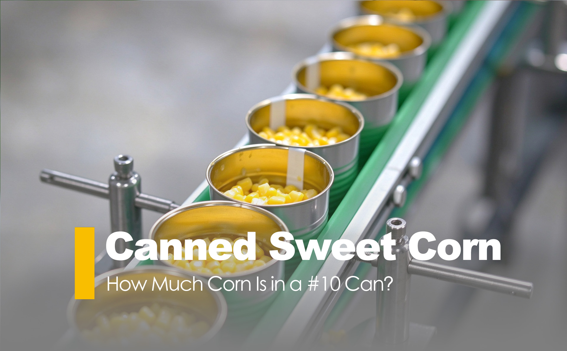 How Much Corn Is in a #10 Can?