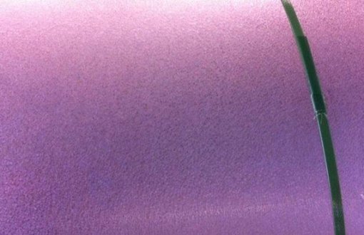 Zinc Aluminum Steel Coil-Galvalume