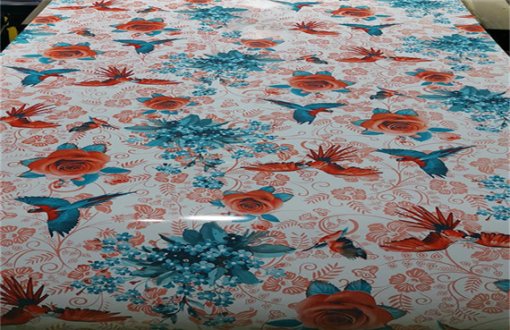 Wooden 3D Pattern PPGL Prepainted Galvalume Steel Coil