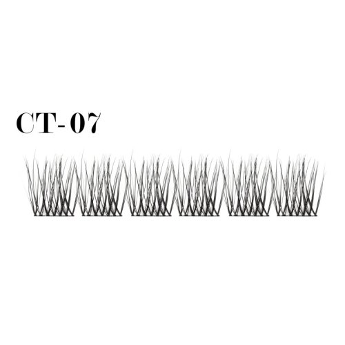 Bionic cluster lashes CT-07 (1)