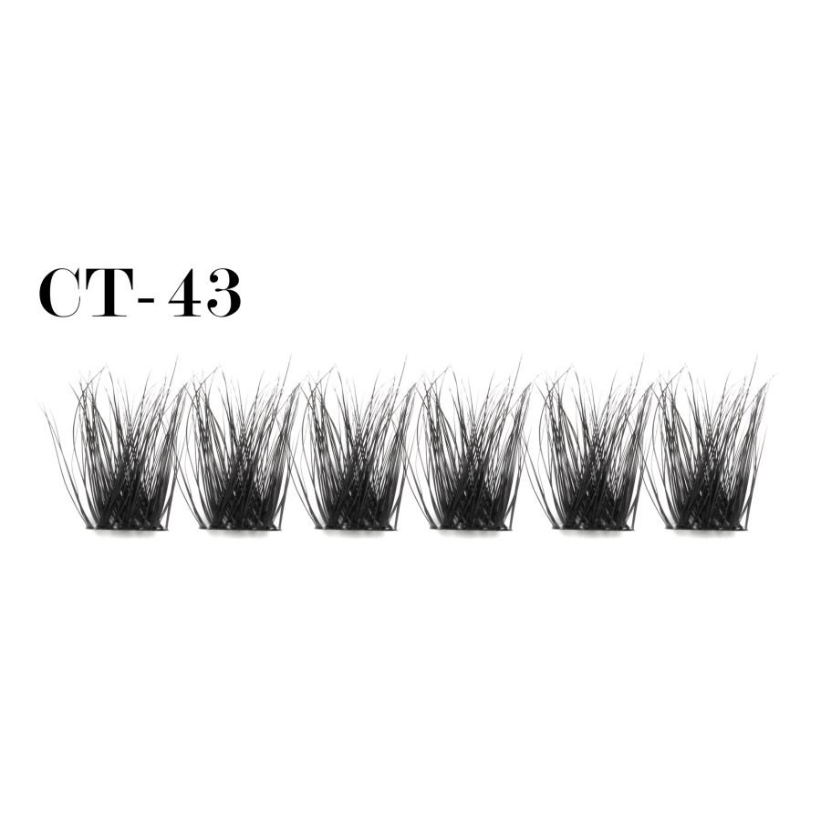 Bionic cluster lashes CT-43 (1)