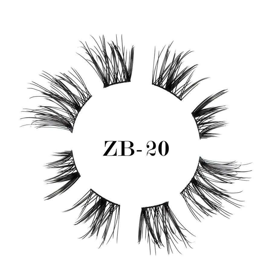 ZB-20(1)