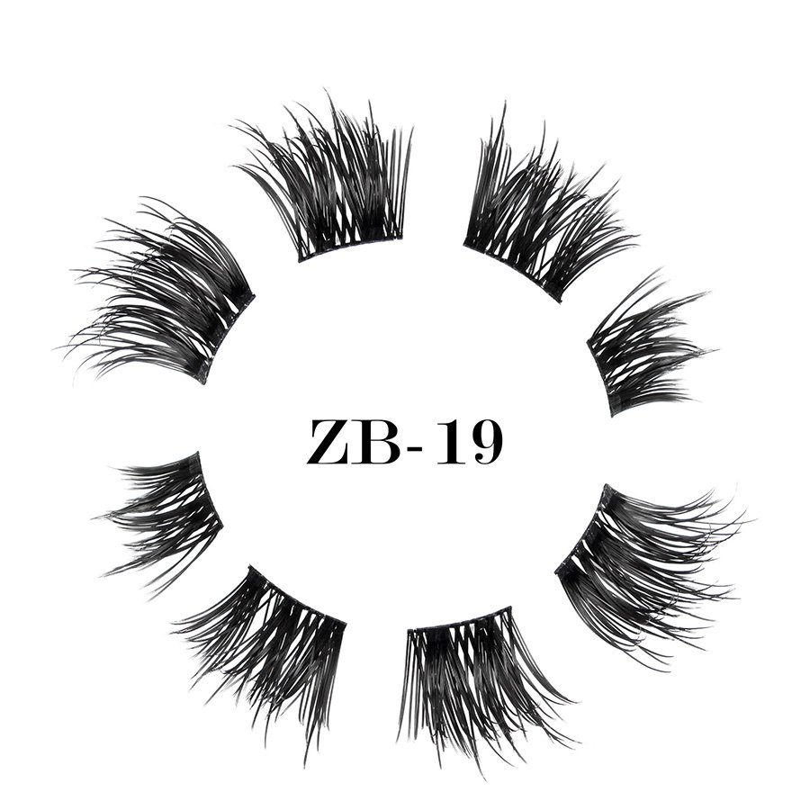 ZB-19(1)