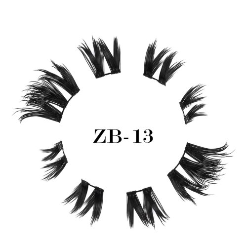ZB-13(1)