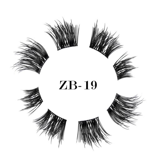 ZB-19(1)