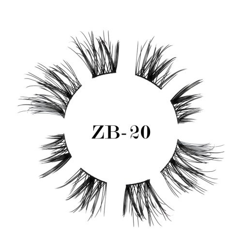 ZB-20(1)