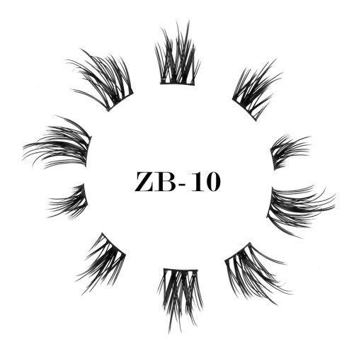 ZB-10(1)