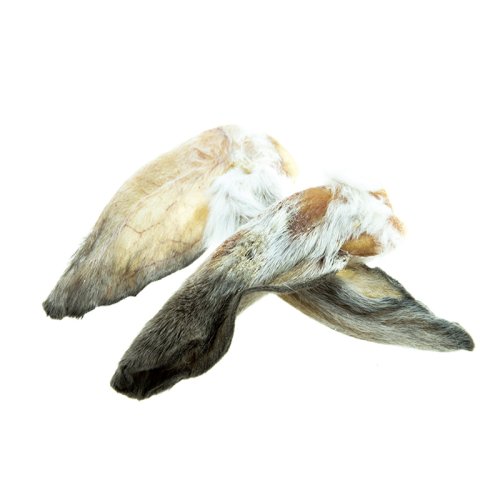 PF01｜Oreja de conejo natural