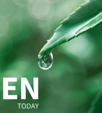 SUBSCRIBE TO OUR NEWSLETTER 01