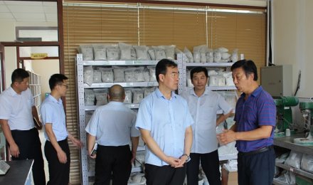 Warmly welcome the leaders of China Foundry Association and Qingdao Foundry Association to visit and guide our company