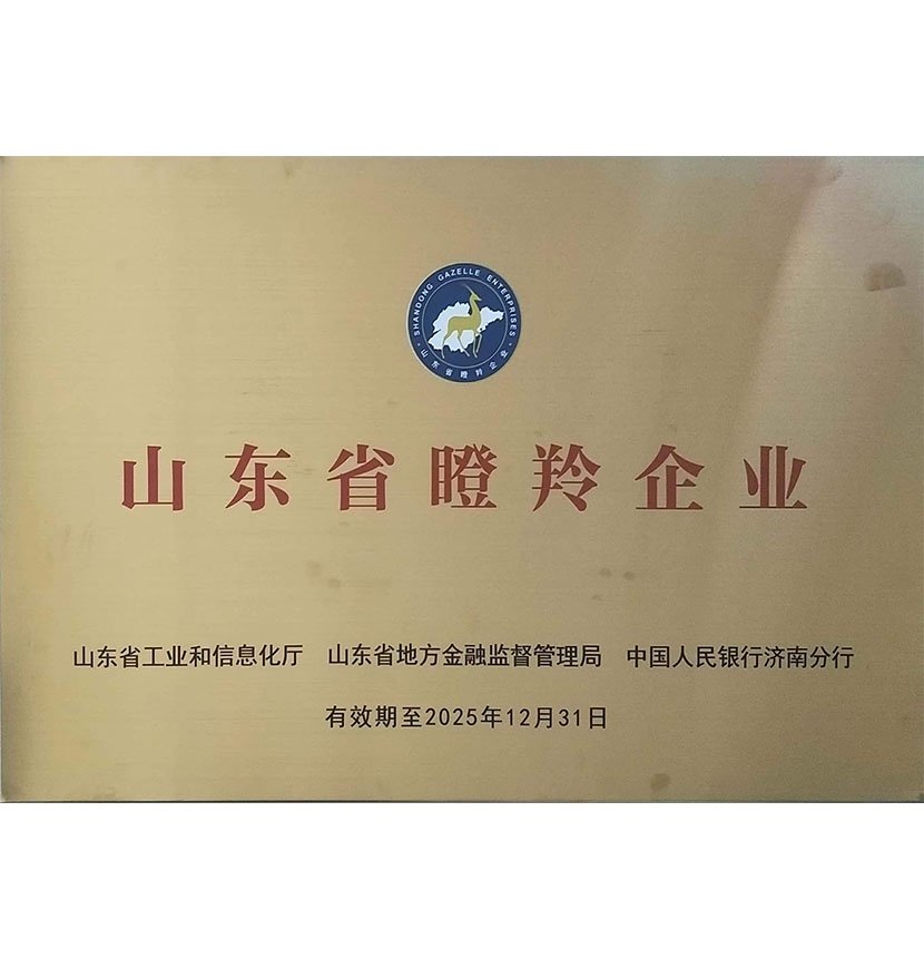 Shandong Province Gazelle Enterprise