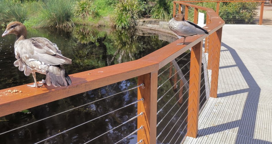 Cable Railing Components For Wooden Posts 01