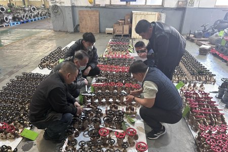 Rongkang Valve Successfully Completes Pre-Shipment Inspection for Samsung Newbuilding Project