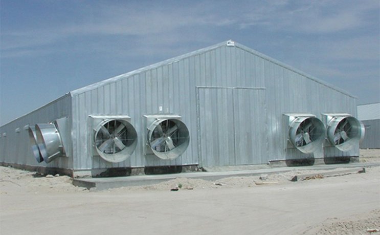 Bebedero de pezón completo para gallinero temporal