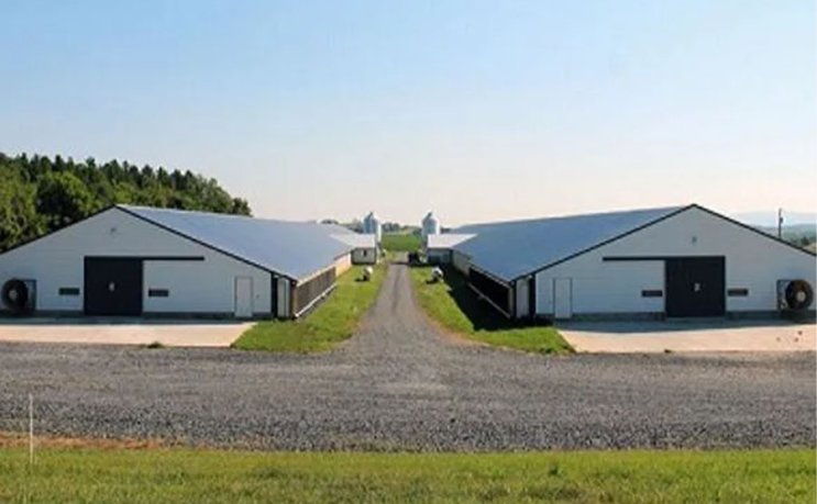 Construcción de edificio de granja avícola