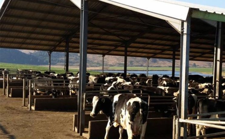 Edificio prefabricado de acero para uso agrícola