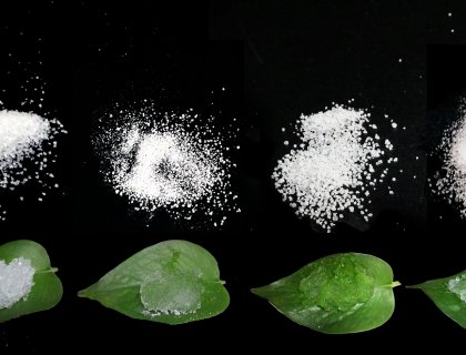 Diverse Particle Sizes