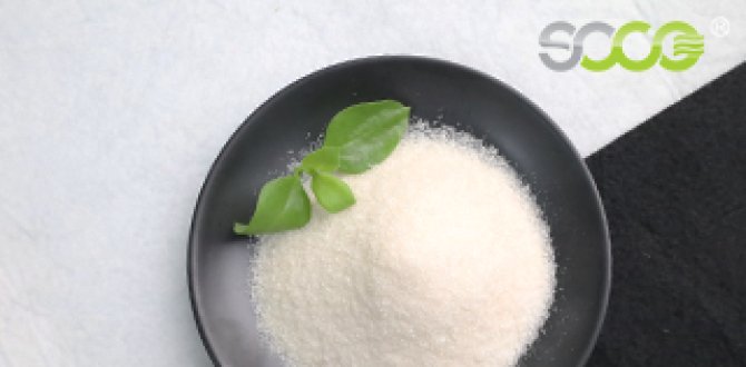 What Is Superabsorbent Polymer Used For? 