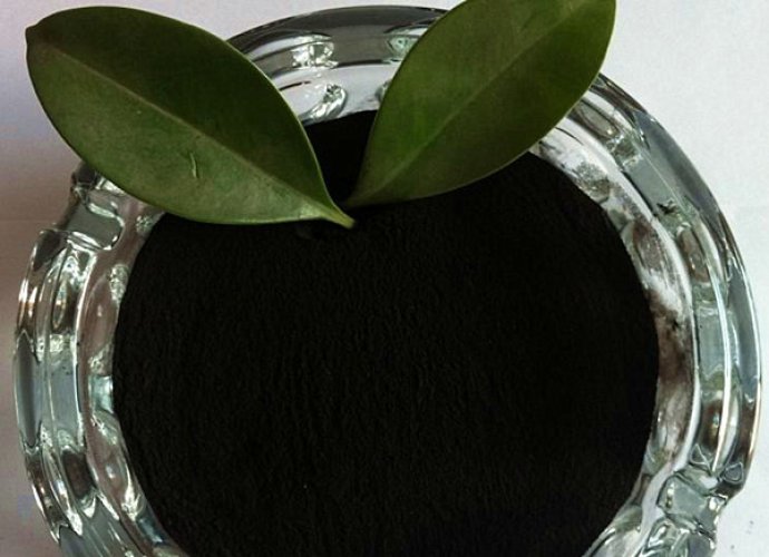 Sulfonated Asphalt as Lost Circulation Material 