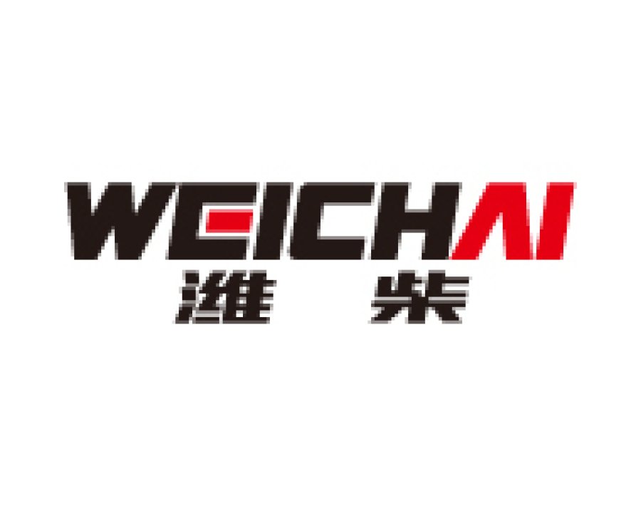 WEICHAI Engine Parts
