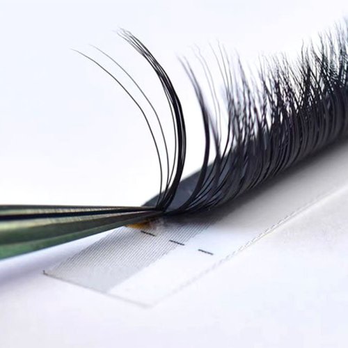 Easy Fan Lashes C Curl