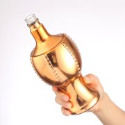 Unique Shape 500ml Wine Glass Bottle (1)