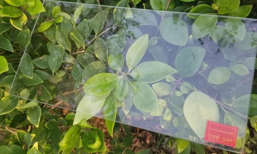 Planta china 2 mm 3,2 mm paneles fotovoltaicos de vidrio templado flotado ultra transparente