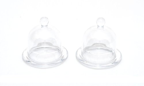 Venta al por mayor Terrario de borosilicato Claro Vacío Soplado a mano Vidrio a prueba de polvo Oval Campana Tarro Cloche Cubierta de cúpula de vidrio con base de madera para pastel