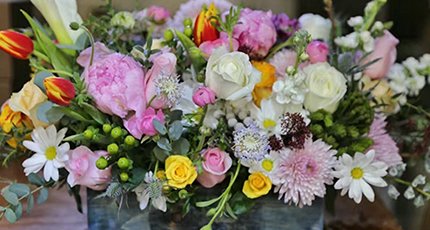 يوم المرأة: أزهري برشاقة وانمو باتجاه الشمس، وعيشي حياة جميلة بغض النظر عن الوقت