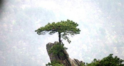 مبنى مجموعة الخريف