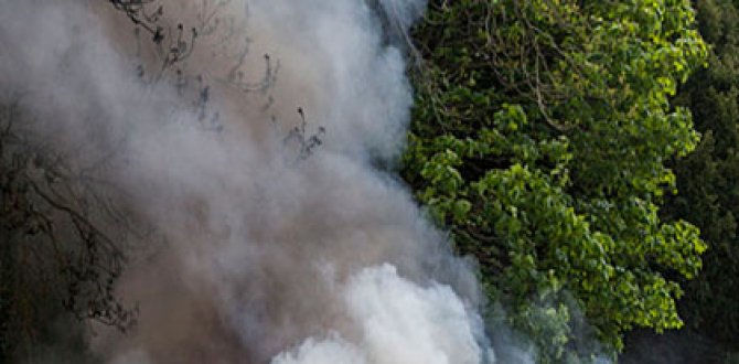 SOCO® SAP (Superabsorbent Polymer) Flame Retardants Could Reduce Multiple Types of Losses and Mitigate Fire Impacts If Used in Hawaii Wildfires