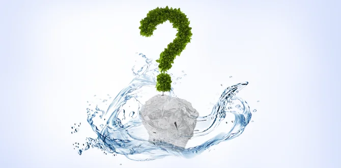 How Much You Know about Hydrogel for Plants?
