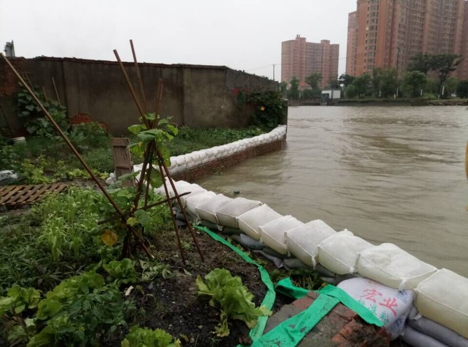 Self-Expanding Flood  Bags