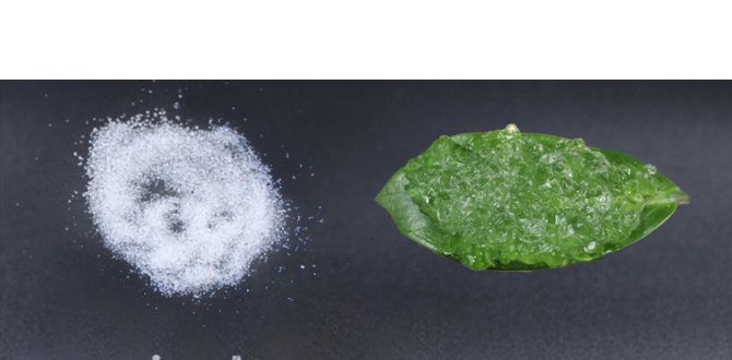 Super Absorbent Polymers (SAP): Types, Uses, and Benefits (2025 Guide)