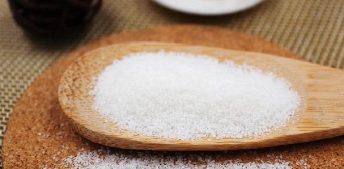 SOCO: Pioneering Industrial Superabsorbent Polymer Solutions for a Cleaner, More Efficient World