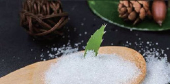 Revolutionizing Mining Operations with Advanced Superabsorbent Polymers (SAP)