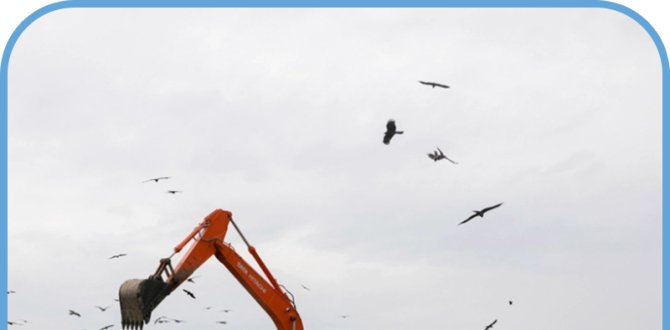 I Never Thought Sludge Could Be This Easy to Handle—Until I Tried SAP