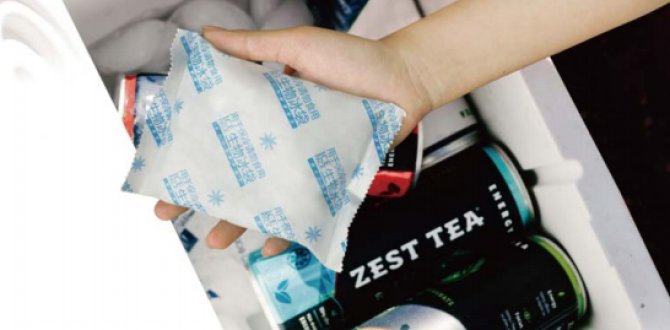 What Are the Best Custom Gel Ice Packs for Shipping and How Do They Work?