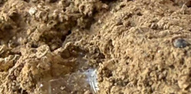 Redefining Industrial Dust Control: The Advanced DUSTSORB™ Series 