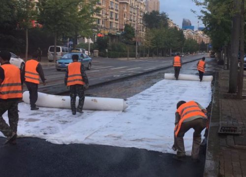 Capa geotextil de filamento PET no tejido para proyecto de construcción de carreteras en China