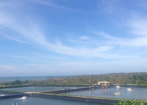 Revestimiento de estanque de HDPE para proyecto de riego en Etiopía