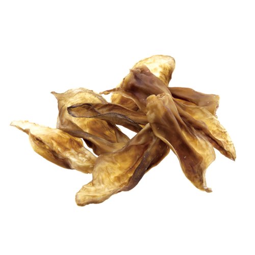 PF03｜Rabbit Ear without Fur