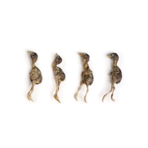 FB25 | Freeze-dried small quail