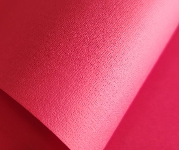 IMG_20250319_154253_edit_599282224337483