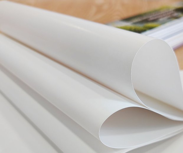 Coated white kraft paper