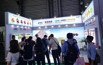 BNP Introduces Innovative Garlic Extract SAMC at CPHI Exhibition 2023 in Shanghai