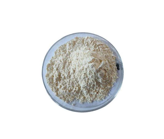 Garlic Extract 0.2%-5% Allicin
