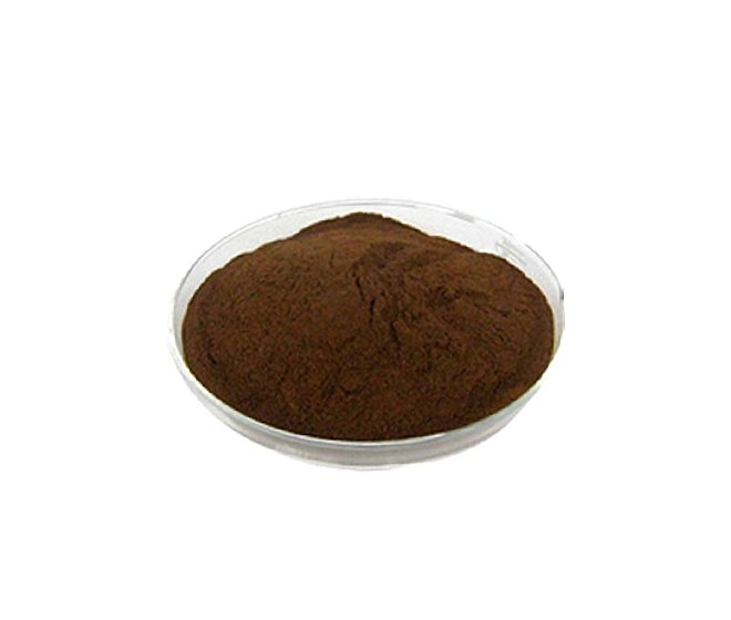 Black Garlic Extract